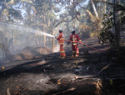 Gara-gara Puntung Rokok, Api Lahap Lahan Produktif di Pangandaran