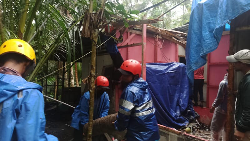 Rumah Warga Tertimpa Pohon Tumbang di Pangandaran