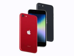 iPhone SE 3 Resmi Dijual di Indonesia Hari Ini, Ini Rincian Harganya