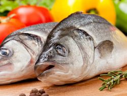 Mengapa Makan Ikan Bisa Meningkatkan Imunitas?