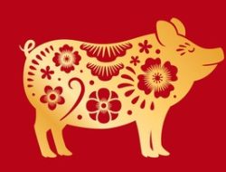Ramalan Lengkap Shio Babi di Tahun 2023: Waspada Lingkungan Toksik