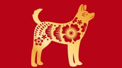 Ramalan Lengkap Shio Anjing di Tahun 2023: Jangan Memulai Hal Baru