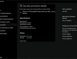 Bug, Windows 11 Gagal Deteksi TPM di Windows Security Apps