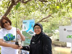 #SayangBumi, Acer Tanam 200 Bibit Mangrove di Pantai Tanjung Pasir
