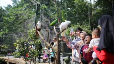 Pemkot Bandung Kirim Surat Teguran Terakhir ke Kebun Binatang