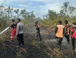Kebakaran Hutan dan Lahan di Kalimantan Selatan Mencapai 233 Hektare