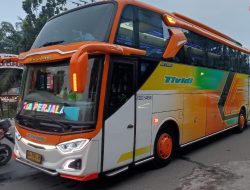 10 Potret Desain Bus Double Glass di Indonesia, Terlihat Gagah dan Kekinian di Jalan