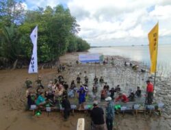 Jaga Kemungkinan Ekowisata di dalam Sungsang Banyuasin, Seribuan Mangrove Ditanam dalam Areal Pelabuhan TAA