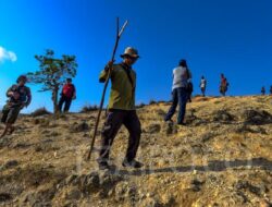 Taman Nasional Komodo Tutup Berkala 2025, Pelancong akan Diarahkan Mengunjungi Desa Wisata