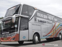 Berapa tarif tiket bus Rosalia Indah?