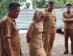 Satu Tahun Menjabat, Bupati Citra Pitriyami Genjot Infrastruktur Hijau di Pangandaran